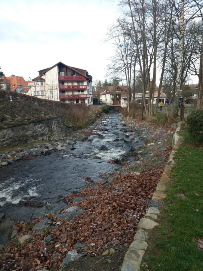 Ferienwohnung Malia In Waldnaehe Mit Schoenem Balkonausblick Бад-Гарцбург Экстерьер фото